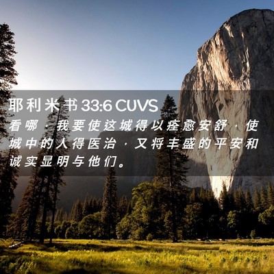 Picture 02 - 耶 利 米 书 33:6 CUVS - 看 哪 ， 我 要 使 这 城 得 以 痊 愈 - Bible Verse Picture