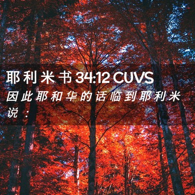Picture 02 - 耶 利 米 书 34:12 CUVS - 因 此 耶 和 华 的 话 临 到 耶 利 米 - Bible Verse Picture