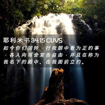 Picture 02 - 耶 利 米 书 34:15 CUVS - 如 今 你 们 回 转 ， 行 我 眼 中 看 - Bible Verse Picture