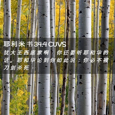 Picture 02 - 耶 利 米 书 34:4 CUVS - 犹 大 王 西 底 家 啊 ， 你 还 要 听 - Bible Verse Picture