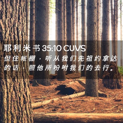Picture 02 - 耶 利 米 书 35:10 CUVS - 但 住 帐 棚 ， 听 从 我 们 先 祖 约 - Bible Verse Picture