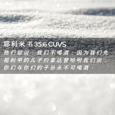 Picture 02 - 耶 利 米 书 35:6 CUVS - 他 们 却 说 ： 我 们 不 喝 酒 ； 因 - Bible Verse Picture