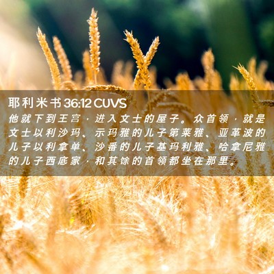 Picture 02 - 耶 利 米 书 36:12 CUVS - 他 就 下 到 王 宫 ， 进 入 文 士 的 - Bible Verse Picture