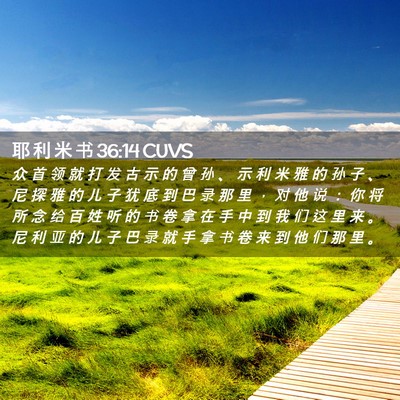 Picture 02 - 耶 利 米 书 36:14 CUVS - 众 首 领 就 打 发 古 示 的 曾 孙 、 - Bible Verse Picture