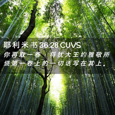 Picture 02 - 耶 利 米 书 36:28 CUVS - 你 再 取 一 卷 ， 将 犹 大 王 约 雅 - Bible Verse Picture