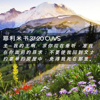 Picture 02 - 耶 利 米 书 37:20 CUVS - 主 ─ 我 的 王 啊 ， 求 你 现 在 垂 - Bible Verse Picture