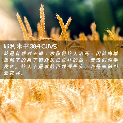 Picture 02 - 耶 利 米 书 38:4 CUVS - 於 是 首 领 对 王 说 ： 求 你 将 这 - Bible Verse Picture