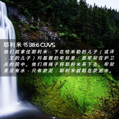 Picture 02 - 耶 利 米 书 38:6 CUVS - 他 们 就 拿 住 耶 利 米 ， 下 在 哈 - Bible Verse Picture