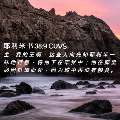 Picture 02 - 耶 利 米 书 38:9 CUVS - 主 ─ 我 的 王 啊 ， 这 些 人 向 先 - Bible Verse Picture