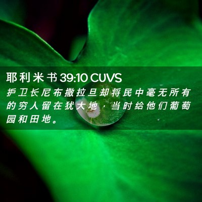 Picture 02 - 耶 利 米 书 39:10 CUVS - 护 卫 长 尼 布 撒 拉 旦 却 将 民 中 - Bible Verse Picture