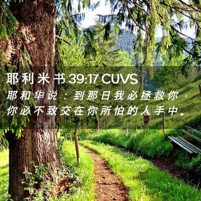 Picture 02 - 耶 利 米 书 39:17 CUVS - 耶 和 华 说 ： 到 那 日 我 必 拯 救 - Bible Verse Picture