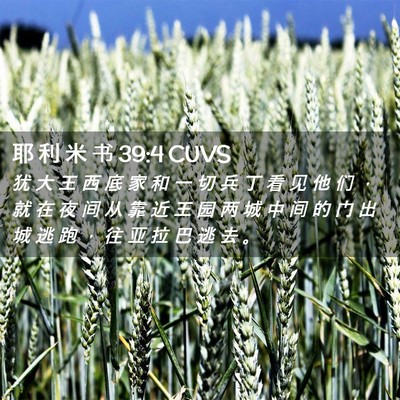 Picture 02 - 耶 利 米 书 39:4 CUVS - 犹 大 王 西 底 家 和 一 切 兵 丁 看 - Bible Verse Picture
