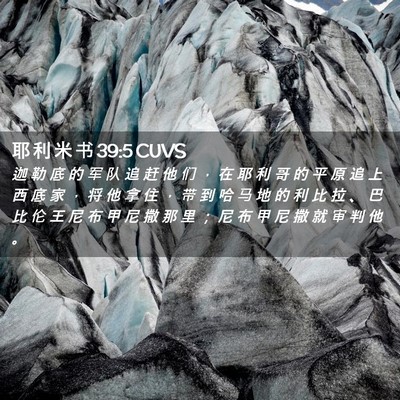 Picture 02 - 耶 利 米 书 39:5 CUVS - 迦 勒 底 的 军 队 追 赶 他 们 ， 在 - Bible Verse Picture