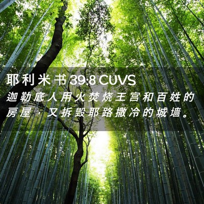 Picture 02 - 耶 利 米 书 39:8 CUVS - 迦 勒 底 人 用 火 焚 烧 王 宫 和 百 - Bible Verse Picture