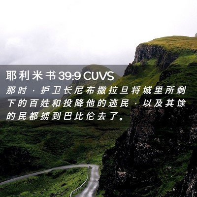 Picture 02 - 耶 利 米 书 39:9 CUVS - 那 时 ， 护 卫 长 尼 布 撒 拉 旦 将 - Bible Verse Picture