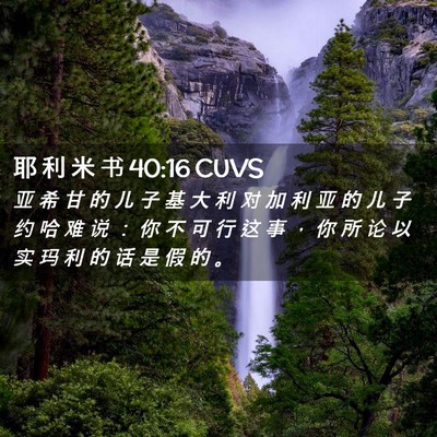 Picture 02 - 耶 利 米 书 40:16 CUVS - 亚 希 甘 的 儿 子 基 大 利 对 加 利 - Bible Verse Picture