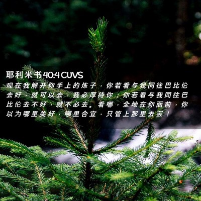 Picture 02 - 耶 利 米 书 40:4 CUVS - 现 在 我 解 开 你 手 上 的 炼 子 ， - Bible Verse Picture