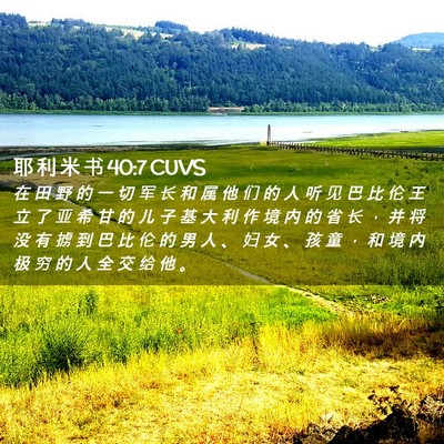 Picture 02 - 耶 利 米 书 40:7 CUVS - 在 田 野 的 一 切 军 长 和 属 他 们 - Bible Verse Picture