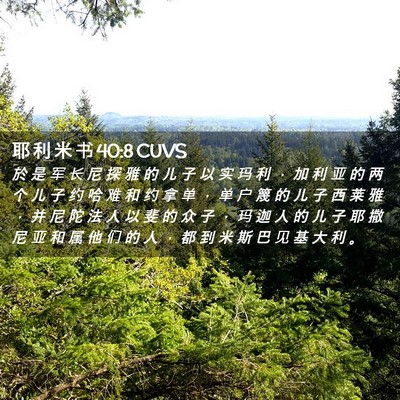 Picture 02 - 耶 利 米 书 40:8 CUVS - 於 是 军 长 尼 探 雅 的 儿 子 以 实 - Bible Verse Picture