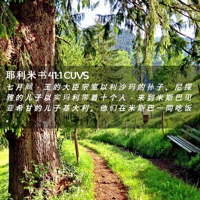 Picture 02 - 耶 利 米 书 41:1 CUVS - 七 月 间 ， 王 的 大 臣 宗 室 以 利 - Bible Verse Picture