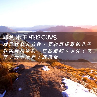 Picture 02 - 耶 利 米 书 41:12 CUVS - 就 带 领 众 人 前 往 ， 要 和 尼 探 - Bible Verse Picture