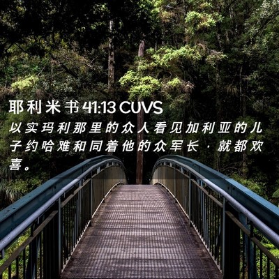 Picture 02 - 耶 利 米 书 41:13 CUVS - 以 实 玛 利 那 里 的 众 人 看 见 加 - Bible Verse Picture