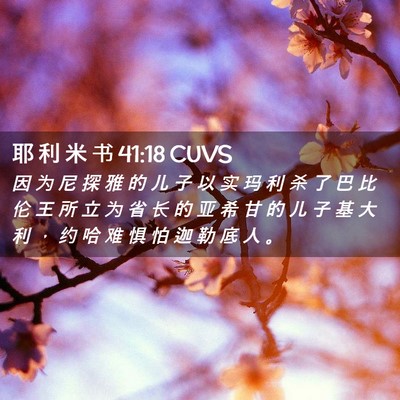 Picture 02 - 耶 利 米 书 41:18 CUVS - 因 为 尼 探 雅 的 儿 子 以 实 玛 利 - Bible Verse Picture