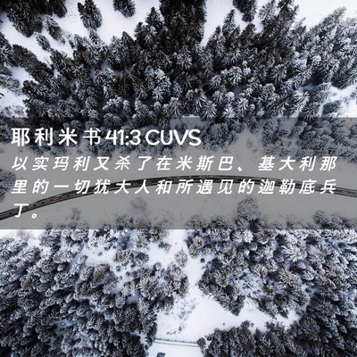 Picture 02 - 耶 利 米 书 41:3 CUVS - 以 实 玛 利 又 杀 了 在 米 斯 巴 、 - Bible Verse Picture