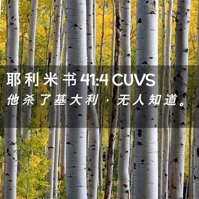 Picture 02 - 耶 利 米 书 41:4 CUVS - 他 杀 了 基 大 利 ， 无 人 知 道 - Bible Verse Picture