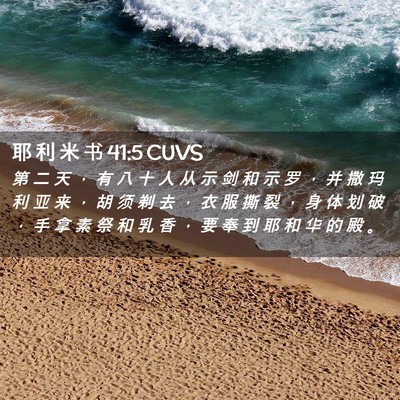 Picture 02 - 耶 利 米 书 41:5 CUVS - 第 二 天 ， 有 八 十 人 从 示 剑 和 - Bible Verse Picture
