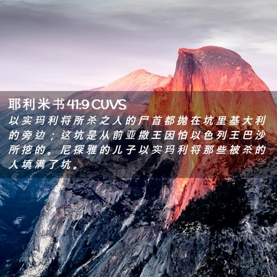 Picture 02 - 耶 利 米 书 41:9 CUVS - 以 实 玛 利 将 所 杀 之 人 的 尸 首 - Bible Verse Picture