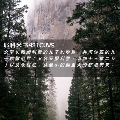 Picture 02 - 耶 利 米 书 42:1 CUVS - 众 军 长 和 加 利 亚 的 儿 子 约 哈 - Bible Verse Picture