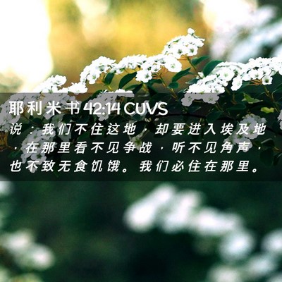 Picture 02 - 耶 利 米 书 42:14 CUVS - 说 ： 我 们 不 住 这 地 ， 却 要 进 - Bible Verse Picture