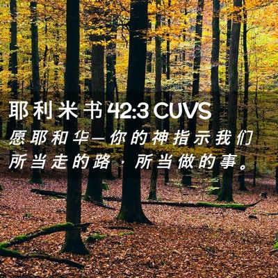 Picture 02 - 耶 利 米 书 42:3 CUVS - 愿 耶 和 华 ─ 你 的 神 指 示 我 们 - Bible Verse Picture