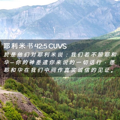 Picture 02 - 耶 利 米 书 42:5 CUVS - 於 是 他 们 对 耶 利 米 说 ： 我 们 - Bible Verse Picture