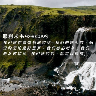 Picture 02 - 耶 利 米 书 42:6 CUVS - 我 们 现 在 请 你 到 耶 和 华 ─ 我 - Bible Verse Picture