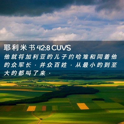 Picture 02 - 耶 利 米 书 42:8 CUVS - 他 就 将 加 利 亚 的 儿 子 约 哈 难 - Bible Verse Picture