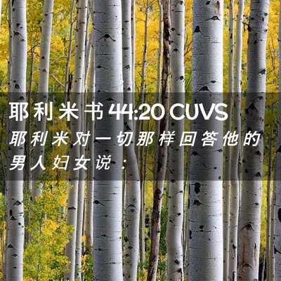 Picture 02 - 耶 利 米 书 44:20 CUVS - 耶 利 米 对 一 切 那 样 回 答 他 的 - Bible Verse Picture