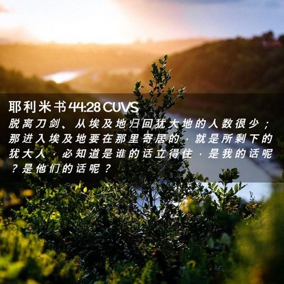 Picture 02 - 耶 利 米 书 44:28 CUVS - 脱 离 刀 剑 、 从 埃 及 地 归 回 犹 - Bible Verse Picture