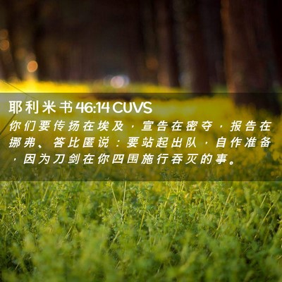 Picture 02 - 耶 利 米 书 46:14 CUVS - 你 们 要 传 扬 在 埃 及 ， 宣 告 在 - Bible Verse Picture