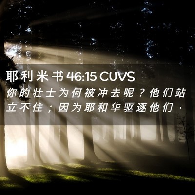 Picture 02 - 耶 利 米 书 46:15 CUVS - 你 的 壮 士 为 何 被 冲 去 呢 ？ 他 - Bible Verse Picture