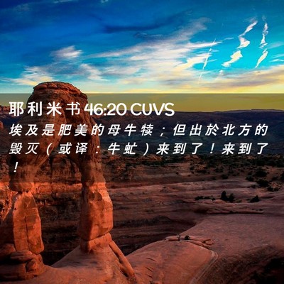 Picture 02 - 耶 利 米 书 46:20 CUVS - 埃 及 是 肥 美 的 母 牛 犊 ； 但 出 - Bible Verse Picture