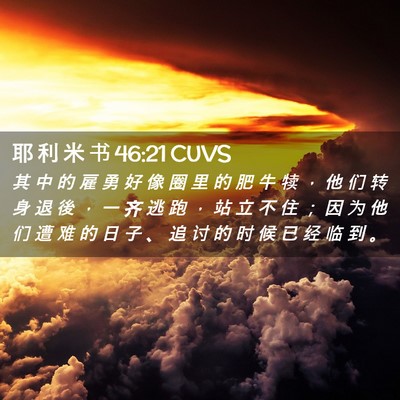 Picture 02 - 耶 利 米 书 46:21 CUVS - 其 中 的 雇 勇 好 像 圈 里 的 肥 牛 - Bible Verse Picture