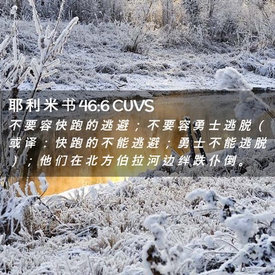 Picture 02 - 耶 利 米 书 46:6 CUVS - 不 要 容 快 跑 的 逃 避 ； 不 要 容 - Bible Verse Picture