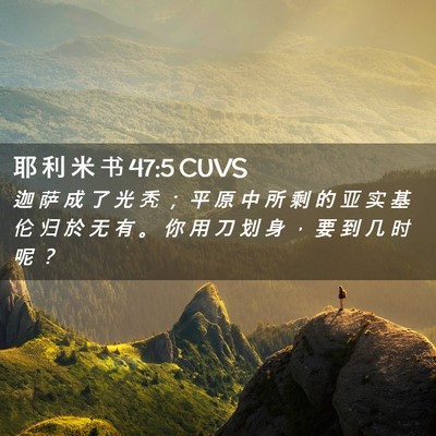 Picture 02 - 耶 利 米 书 47:5 CUVS - 迦 萨 成 了 光 秃 ； 平 原 中 所 剩 - Bible Verse Picture