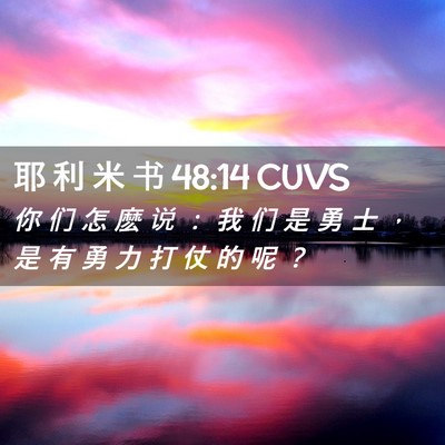 Picture 02 - 耶 利 米 书 48:14 CUVS - 你 们 怎 麽 说 ： 我 们 是 勇 士 ， - Bible Verse Picture