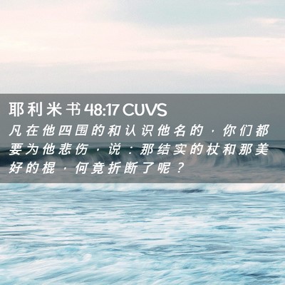 Picture 02 - 耶 利 米 书 48:17 CUVS - 凡 在 他 四 围 的 和 认 识 他 名 的 - Bible Verse Picture