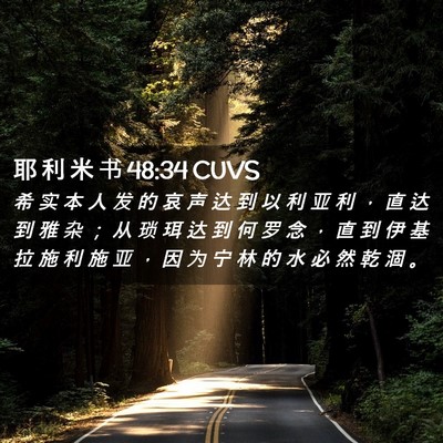 Picture 02 - 耶 利 米 书 48:34 CUVS - 希 实 本 人 发 的 哀 声 达 到 以 利 - Bible Verse Picture