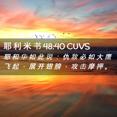Picture 02 - 耶 利 米 书 48:40 CUVS - 耶 和 华 如 此 说 ： 仇 敌 必 如 大 - Bible Verse Picture