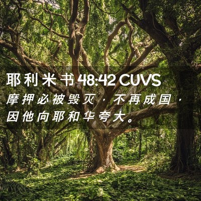 Picture 02 - 耶 利 米 书 48:42 CUVS - 摩 押 必 被 毁 灭 ， 不 再 成 国 ， - Bible Verse Picture
